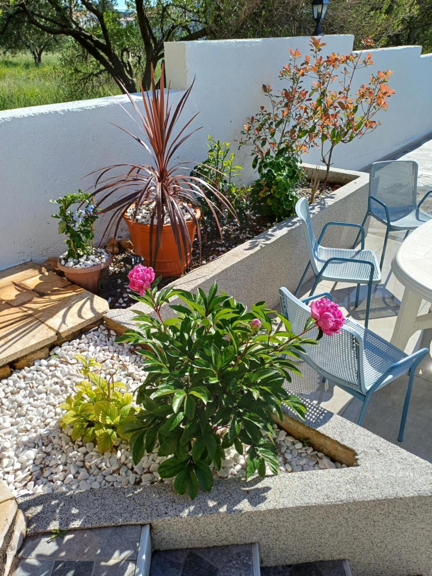 Casa Surya - Apartments With Sea View And Swimming Pool Barbat na Rabu Exteriör bild